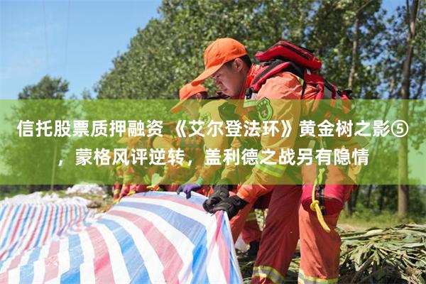 信托股票质押融资 《艾尔登法环》黄金树之影⑤，蒙格风评逆转，盖利德之战另有隐情