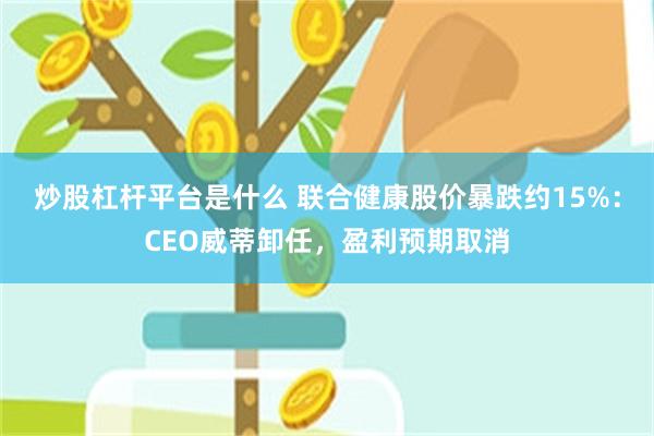 炒股杠杆平台是什么 联合健康股价暴跌约15%：CEO威蒂卸任，盈利预期取消