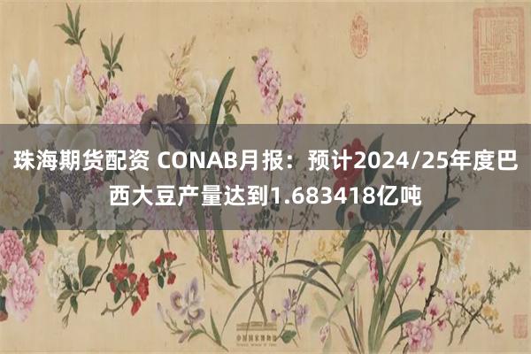 珠海期货配资 CONAB月报：预计2024/25年度巴西大豆产量达到1.683418亿吨
