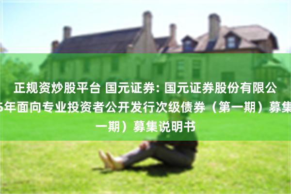 正规资炒股平台 国元证券: 国元证券股份有限公司2025年面向专业投资者公开发行次级债券(第一期)募集说明书