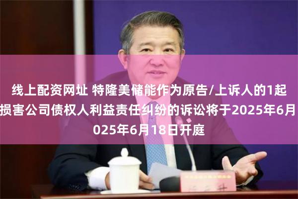 线上配资网址 特隆美储能作为原告/上诉人的1起涉及股东损害公司债权人利益责任纠纷的诉讼将于2025年6月18日开庭