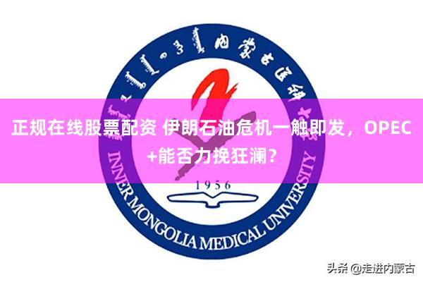 正规在线股票配资 伊朗石油危机一触即发，OPEC+能否力挽狂澜？