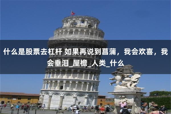什么是股票去杠杆 如果再说到菖蒲，我会欢喜，我会垂泪_屋檐_人类_什么
