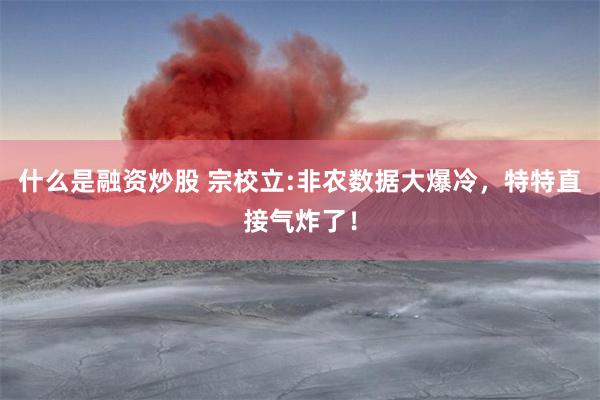 什么是融资炒股 宗校立:非农数据大爆冷，特特直接气炸了！