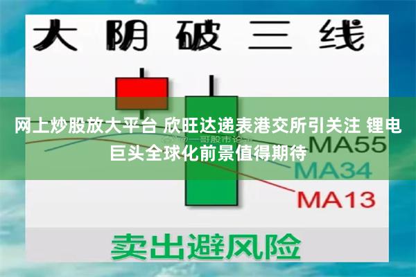 网上炒股放大平台 欣旺达递表港交所引关注 锂电巨头全球化前景值得期待