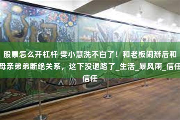 股票怎么开杠杆 樊小慧洗不白了！和老板闹掰后和母亲弟弟断绝关系，这下没退路了_生活_暴风雨_信任