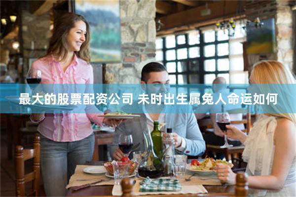 最大的股票配资公司 未时出生属兔人命运如何