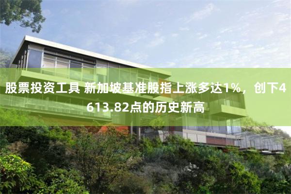 股票投资工具 新加坡基准股指上涨多达1%，创下4613.82点的历史新高